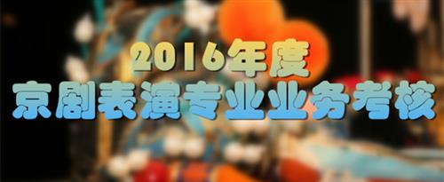 https://zk6.top/dwrg国家京剧院2016年度京剧表演专业业务考...